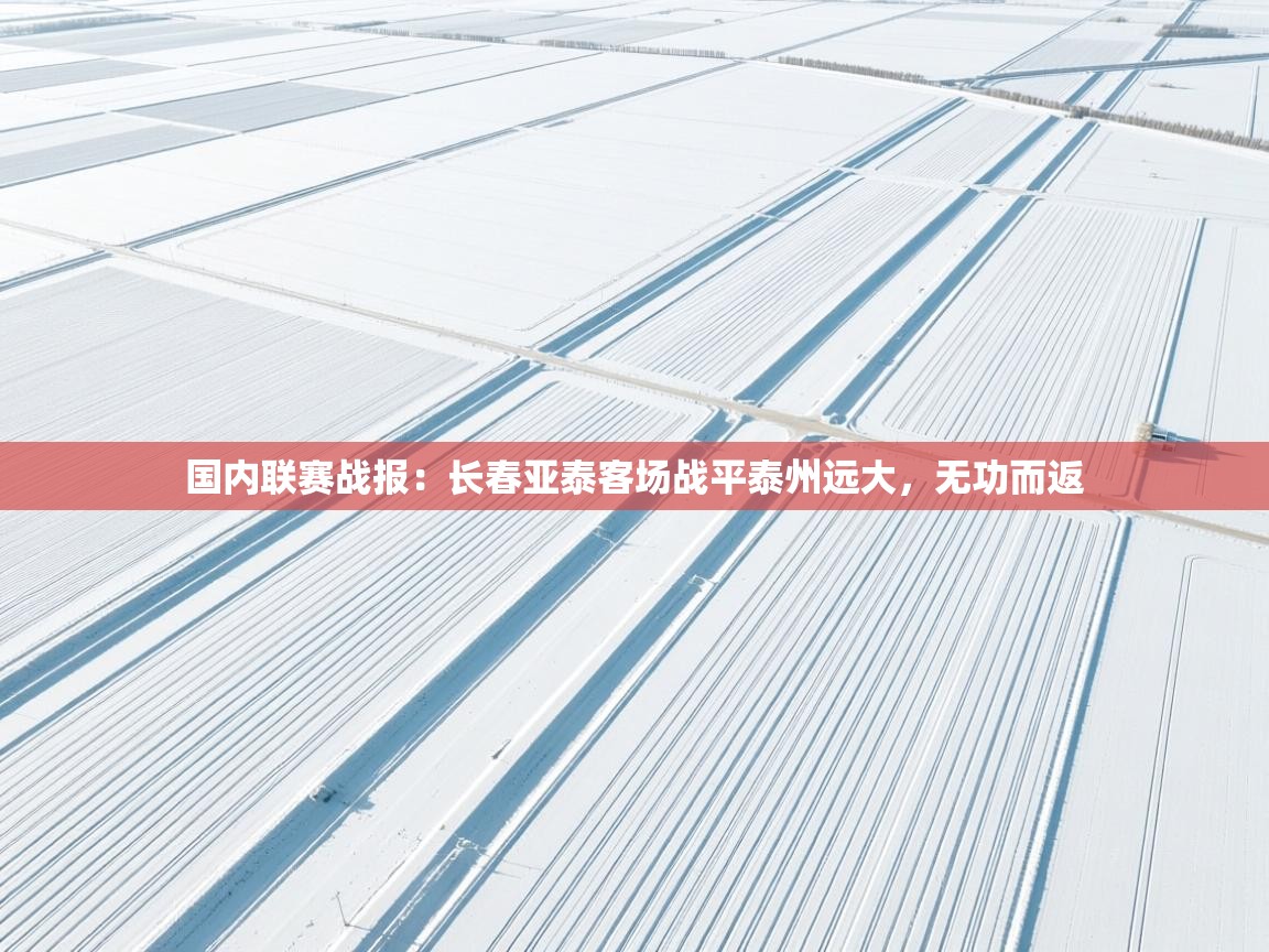 开云平台-国内联赛战报：长春亚泰客场战平泰州远大，无功而返  第1张