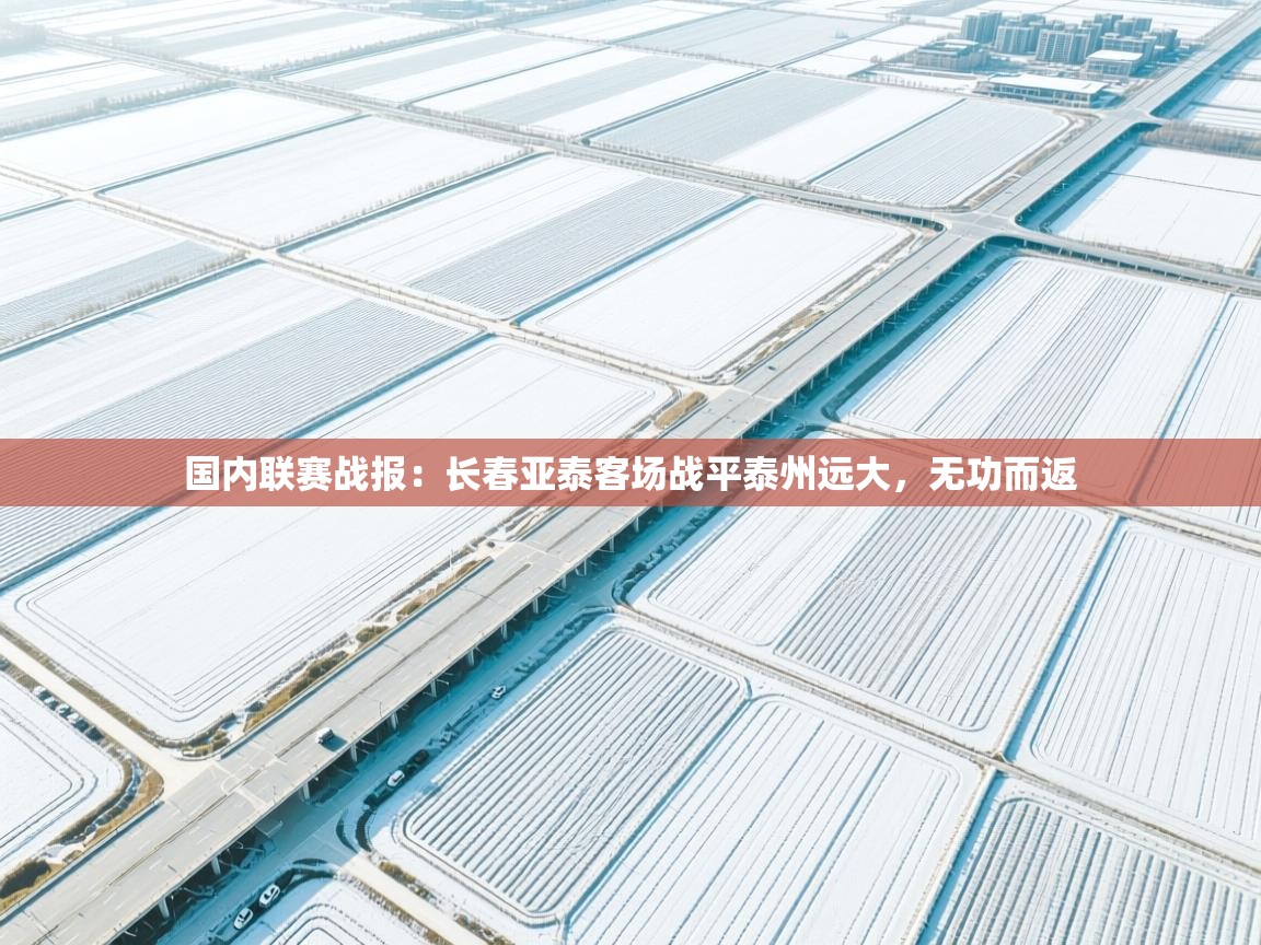 开云平台-国内联赛战报：长春亚泰客场战平泰州远大，无功而返  第3张