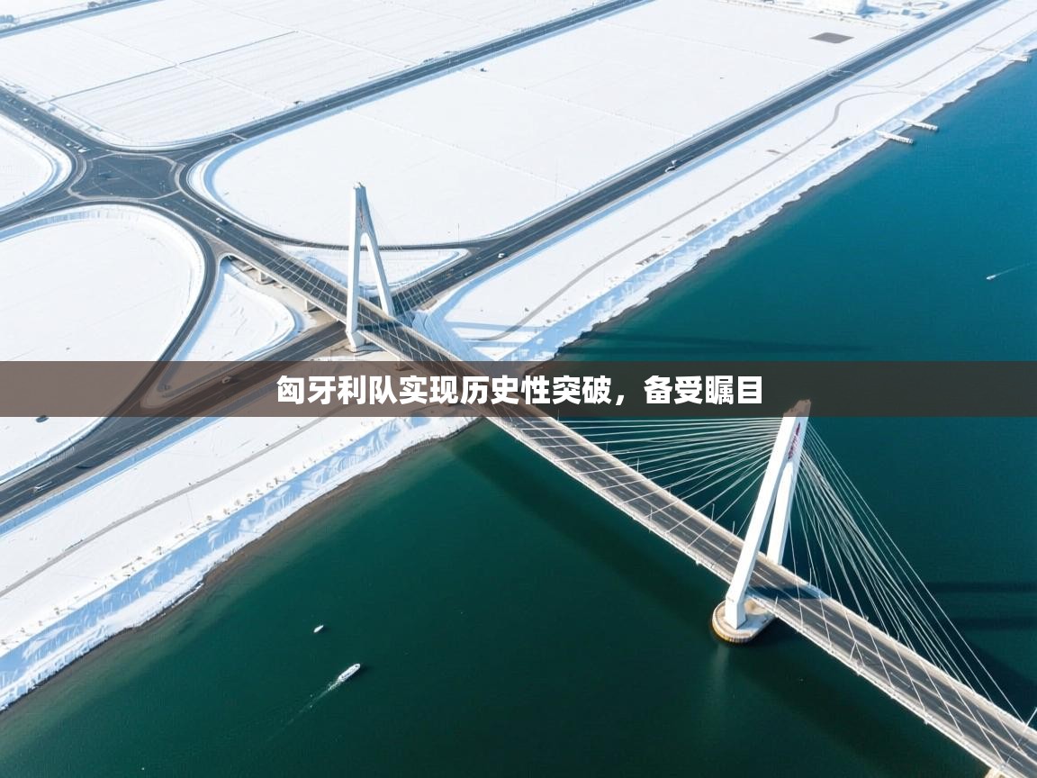 -匈牙利队实现历史性突破，备受瞩目  第1张