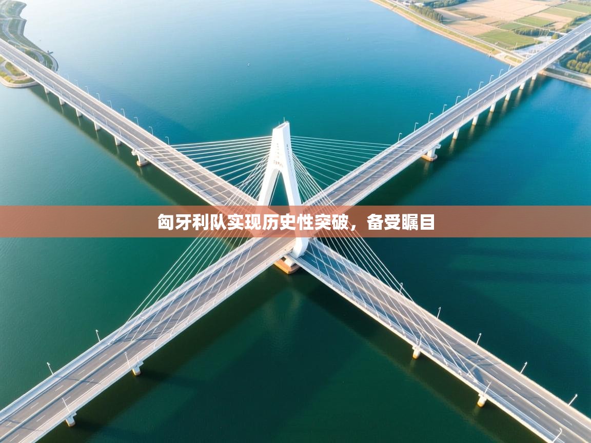 -匈牙利队实现历史性突破，备受瞩目  第2张