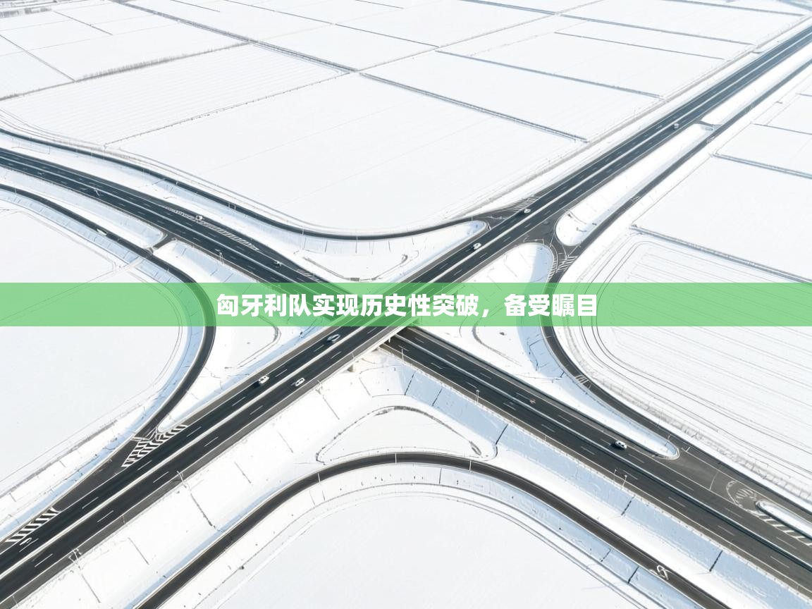 -匈牙利队实现历史性突破，备受瞩目  第3张